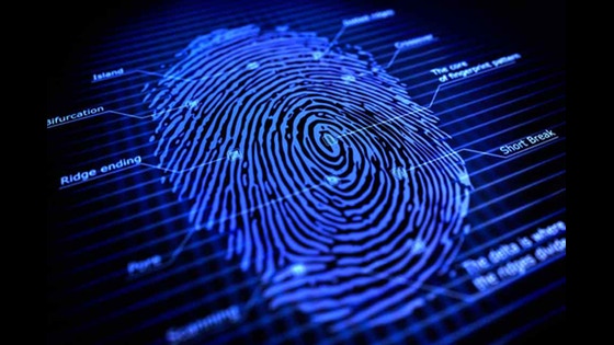 Automated Biometric Identification System